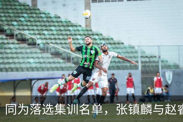 同为落选集训名单，张镇麟与赵睿的境遇差异何在？